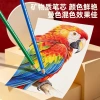 Marley 48/72/120 oil-based/water-soluble colored pencils H-SD003-W48 72 120/H-SD003-048 72 12 Application Scenario